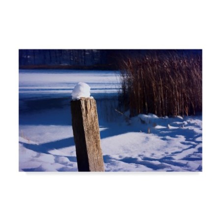 Trademark Fine Art Anthony Paladino 'Snow Capped Fence Post Along Pond' Canvas Art, 22x32 ALI38636-C2232GG